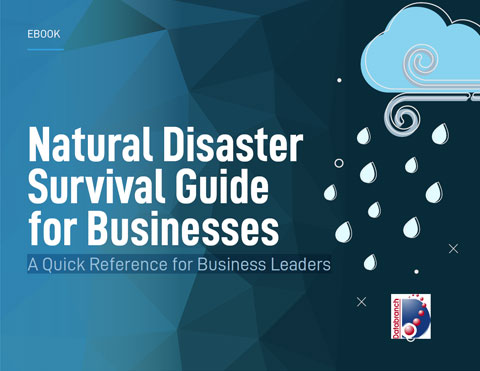 Natural Disaster Survival Guide for Businesses