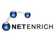 Netenrich Logo